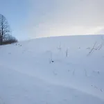 Benusovce 립토브스키트로노벡